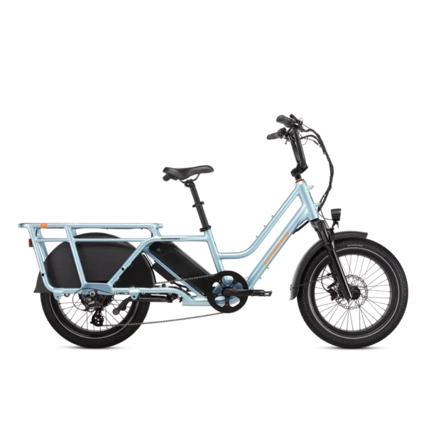 1-1-min_3 Rad Power Bikes RadWagon 5 Electric Cargo Bike - Image 1