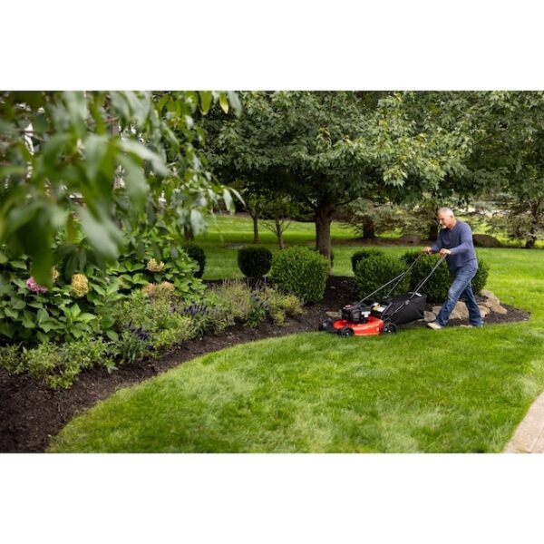 260 CRAFTSMAN M110 140-cc 21-in Push Gas Lawn Mower - Image 2