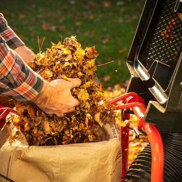 514 DR Power Equipment Pilot XTSP Leaf and Lawn Vacuum - Image 6