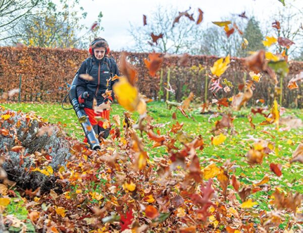 555 Echo PB-7910T Backpack Leaf Blower - Image 2