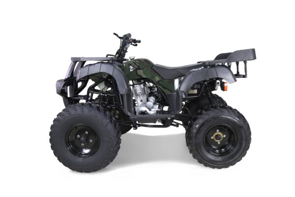 703 Taotao 250 Rhino Adult Utility ATV - Image 2