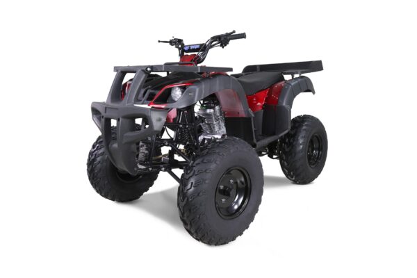 704 Taotao 250 Rhino Adult Utility ATV - Image 3