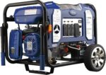 Ford 11,050 Watt Dual Fuel Portable Generator FG11050PBE - Image 5