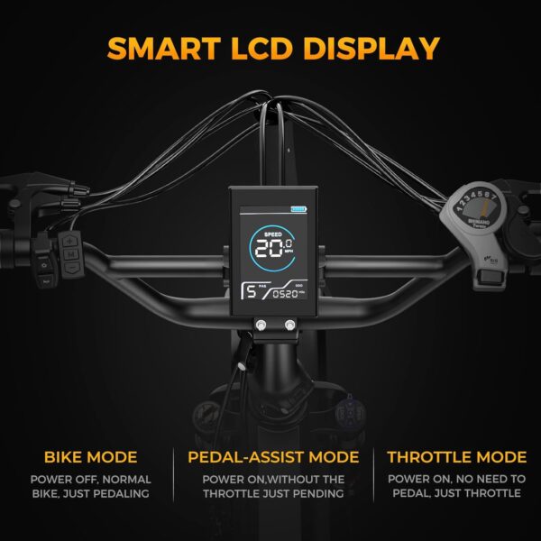 71m8S1utPDL._AC_SL1500_ Peak Jasion X- Hunter Electric Bike - Image 3
