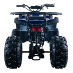 Vitacci Rider 10 Utility ATV - Image 4