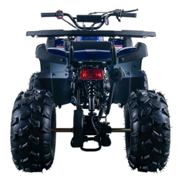 724 Vitacci Rider 10 Utility ATV - Image 4