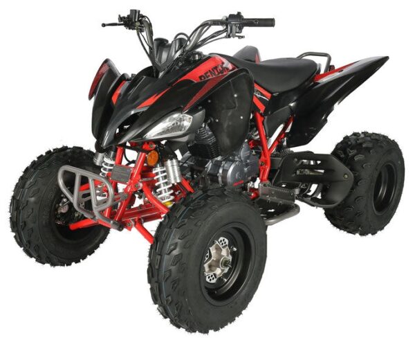739 Regency PRO Ultra Sport 250cc ATV - Image 3