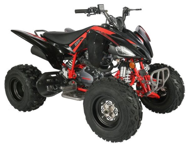 742 Regency PRO Ultra Sport 250cc ATV - Image 6