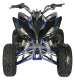 Vitacci Pentora Racing ATV - Image 7