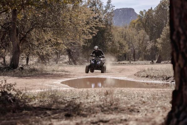 775 Coleman Powersports AT200R 169cc Gas Powered Adult ATV - Image 4