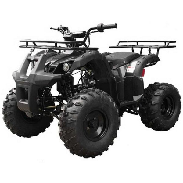 811 Tao T Force T125 Mid Size ATV - Image 1