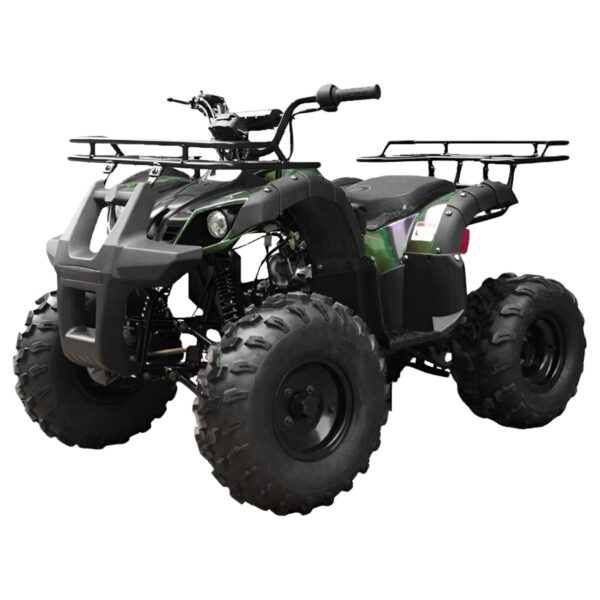 813 Tao T Force T125 Mid Size ATV - Image 3