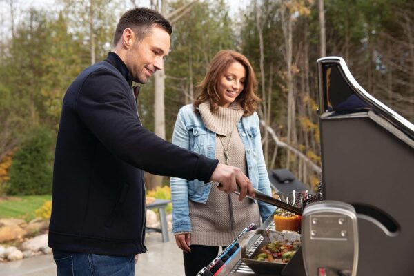 81QAINGRZiL._AC_SL1500_ Napoleon Prestige 665 5-Burner Propane Grill - Image 2