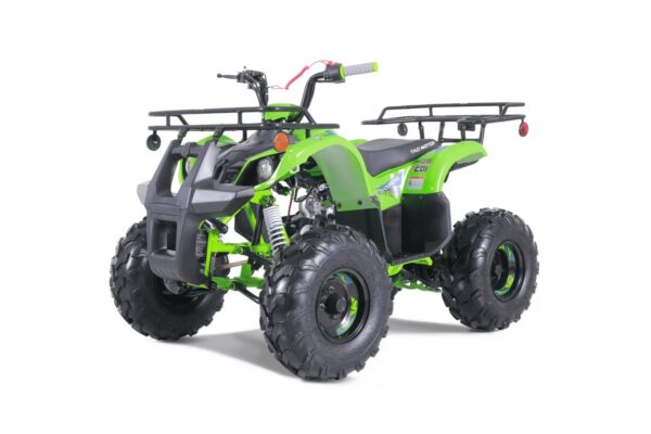 839 TaoTao T-Force T125 4-Wheeler All-Terrain Vehicle ATV - Image 2