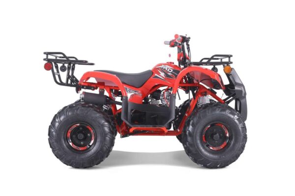 841 TaoTao T-Force T125 4-Wheeler All-Terrain Vehicle ATV - Image 4