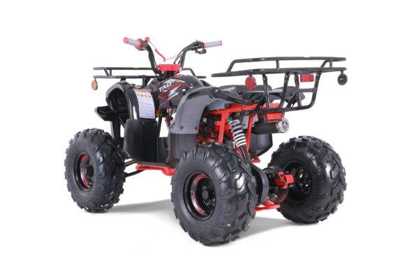 843 TaoTao T-Force T125 4-Wheeler All-Terrain Vehicle ATV - Image 6