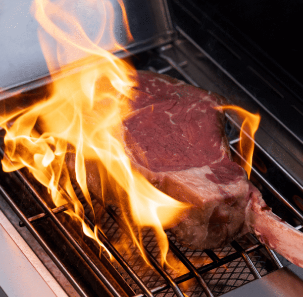 e Monument Grills Eminence 605 Advanced Stainless Natural/Propane Gas Grill Eminence 605 - Image 3