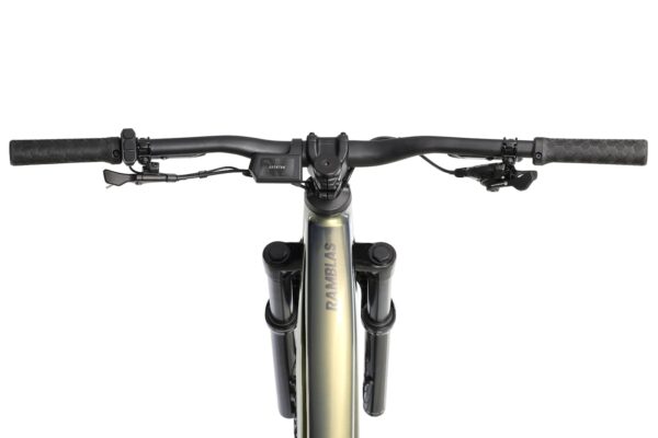 ramblas-gallery-borealis-05_092e2f0e-6a4c-4edb-b22a-f27ed3cc12f6 Aventon Ramblas eMTB - Image 3