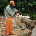 STIHL STIHL® MS 362 Professional Chainsaw - Image 2